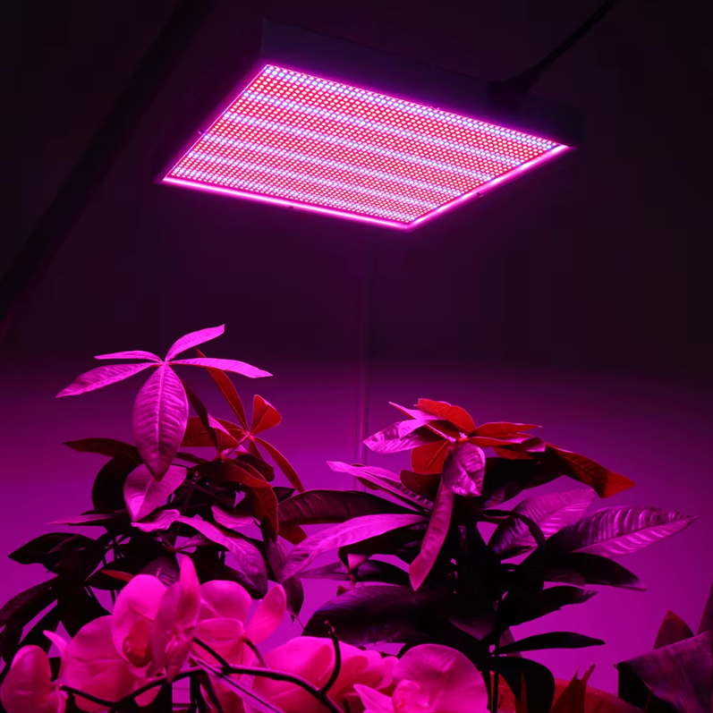 200W LED Kweeklamp Dimbaar Volledig Spectrum