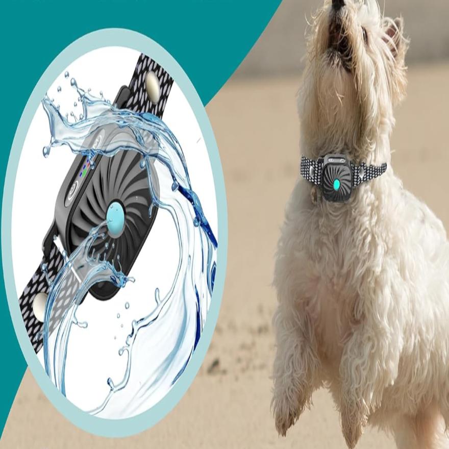 Dorji - Comfortabele Anti-Blafband voor Honden