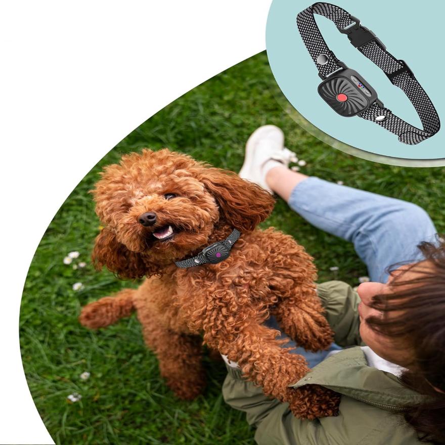 Dorji - Comfortabele Anti-Blafband voor Honden