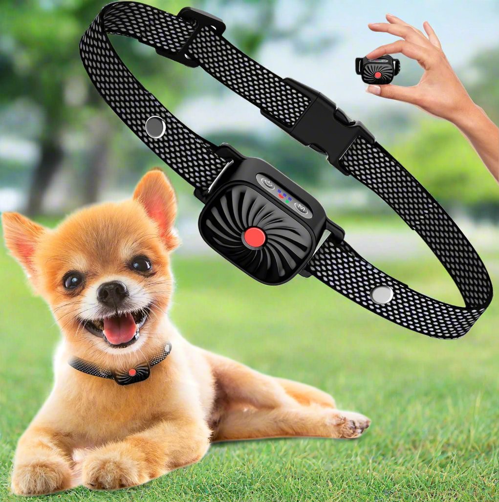 Dorji - Comfortabele Anti-Blafband voor Honden