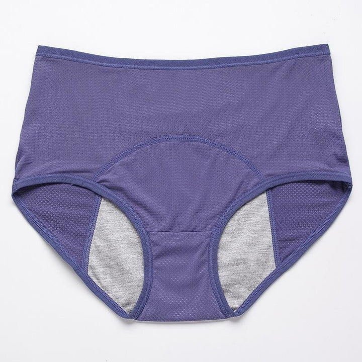 Droog Blijvend Dames Ondergoed 4-Pack
