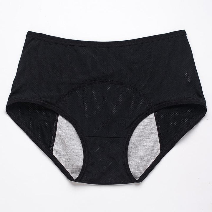 Droog Blijvend Dames Ondergoed 4-Pack