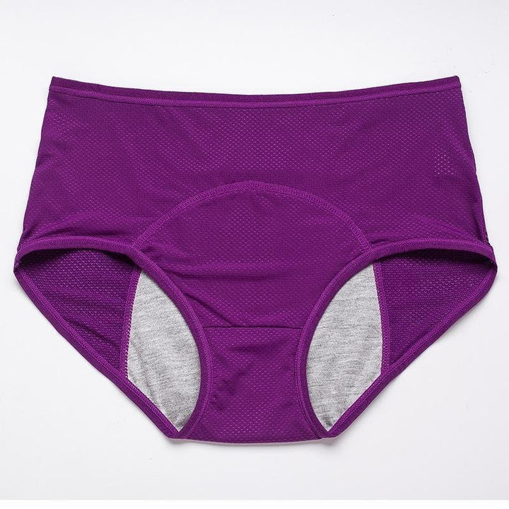 Droog Blijvend Dames Ondergoed 4-Pack