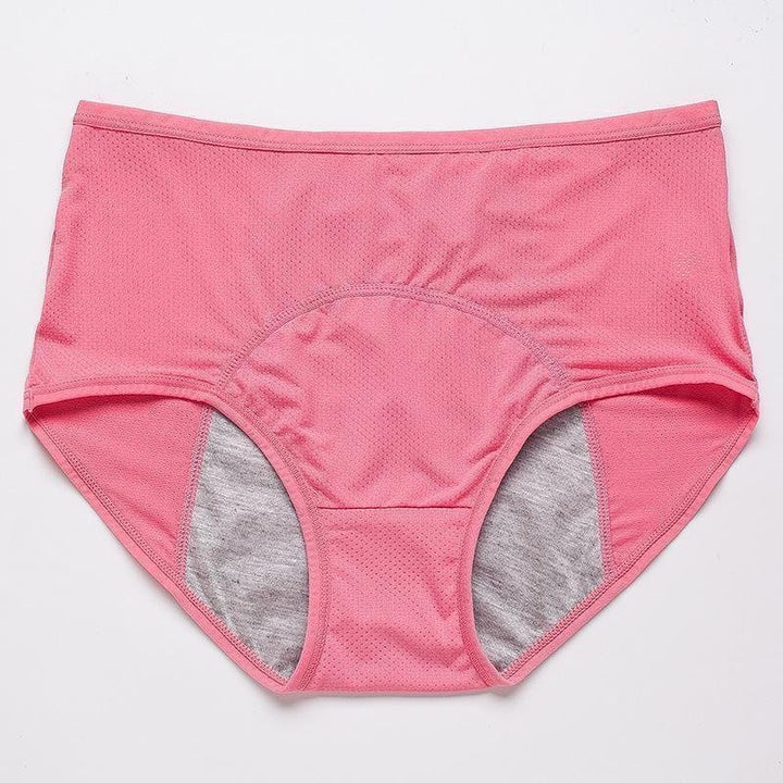 Droog Blijvend Dames Ondergoed 4-Pack