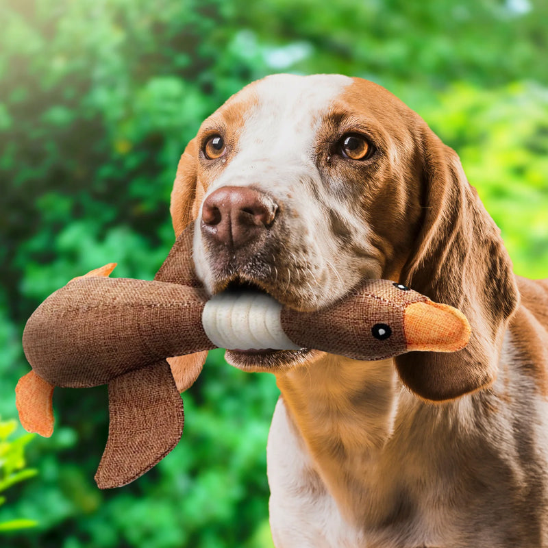 Onverwoestbaar Hondenspeeltje SolidPet Deluxe