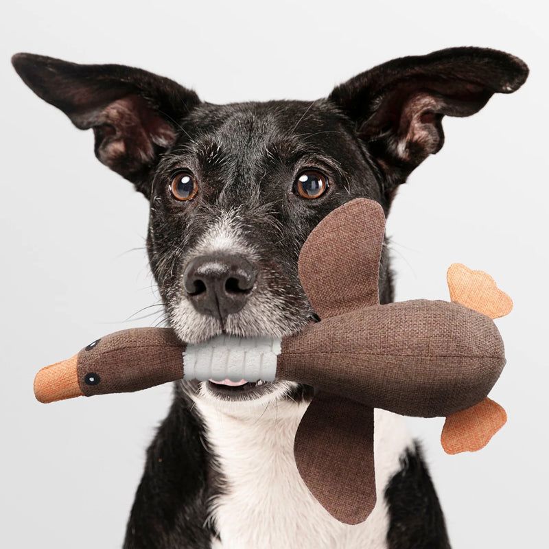 Onverwoestbaar Hondenspeeltje SolidPet Deluxe