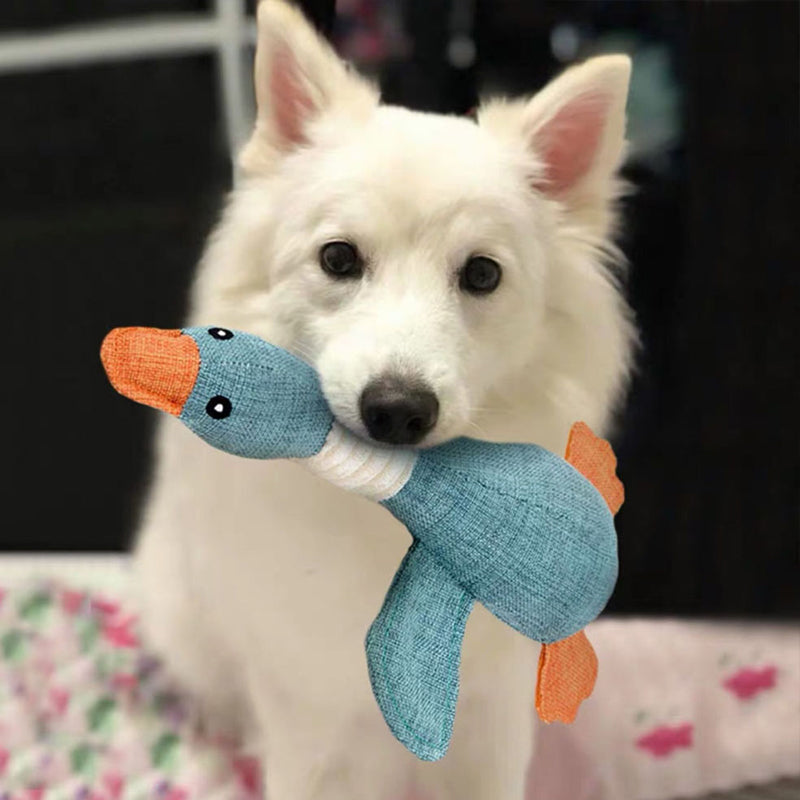 Onverwoestbaar Hondenspeeltje SolidPet Deluxe