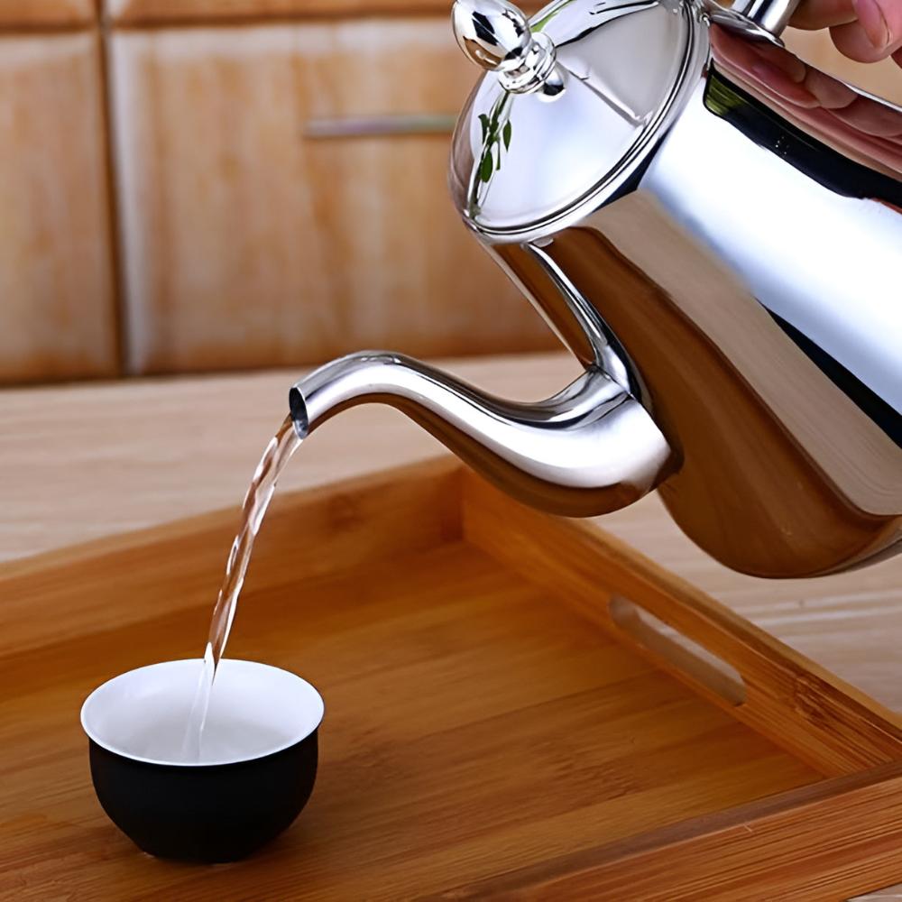 RVS Waterkoker met Filter en Ergonomisch Design