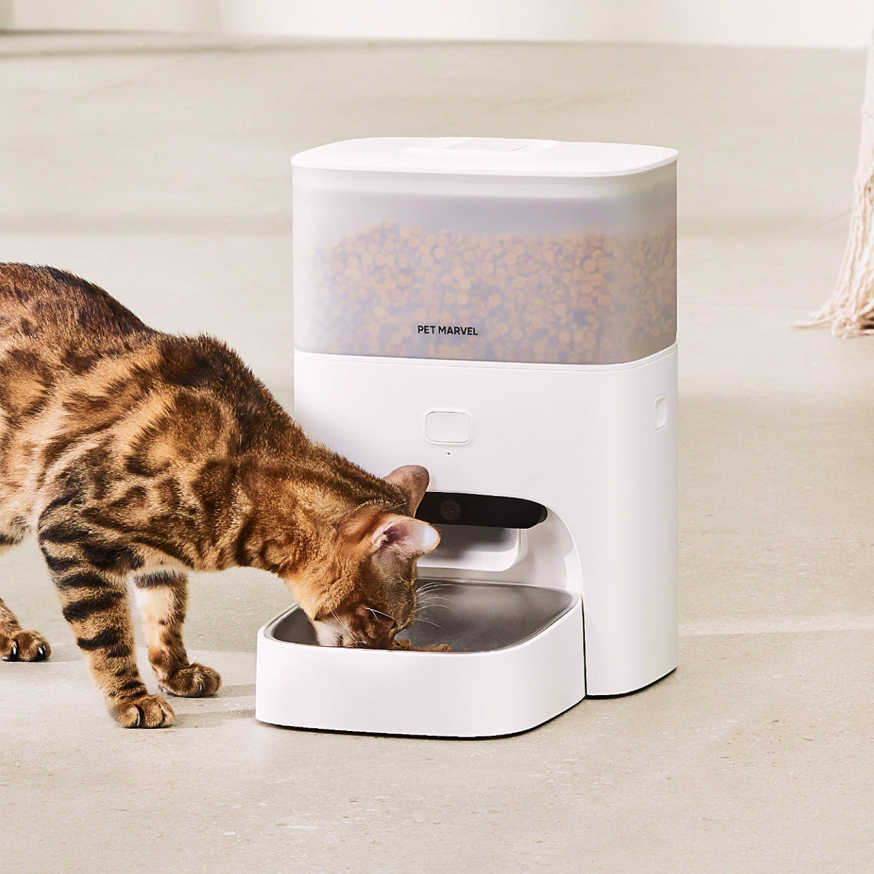 Slimme Kattenvoerbak met Camera en App