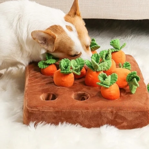 Wortel Snuifspeelgoed voor Honden