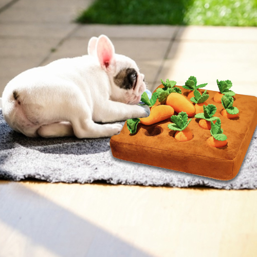 Wortel Snuifspeelgoed voor Honden