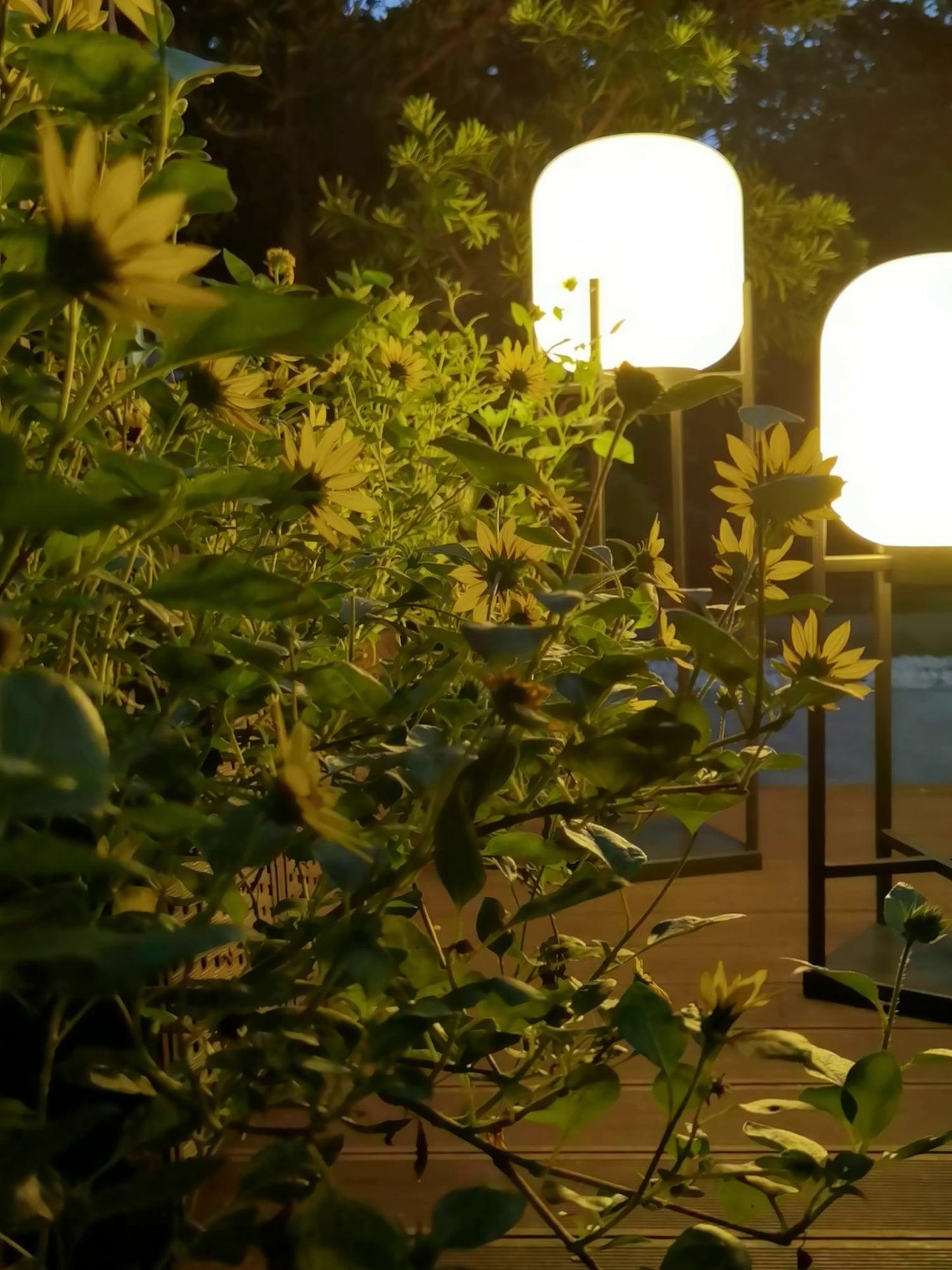 Zonne-energie Buitenlamp Roestvrij Staal - Waterdicht