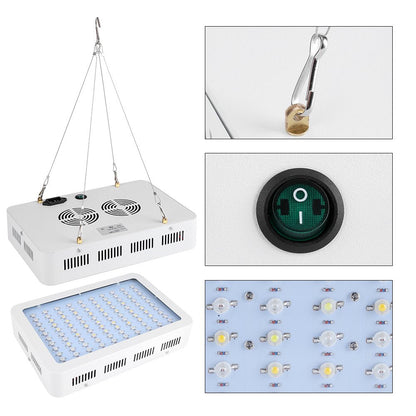 1000W LED Kweeklamp Volledig Spectrum IR UV