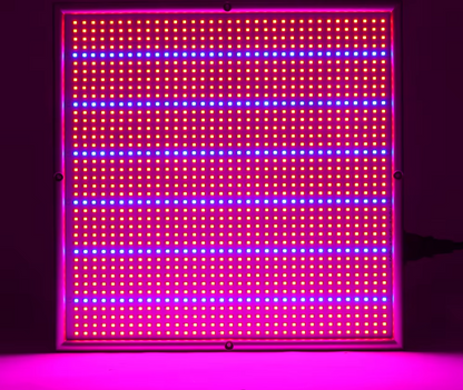 200W LED Kweeklamp Dimbaar Volledig Spectrum