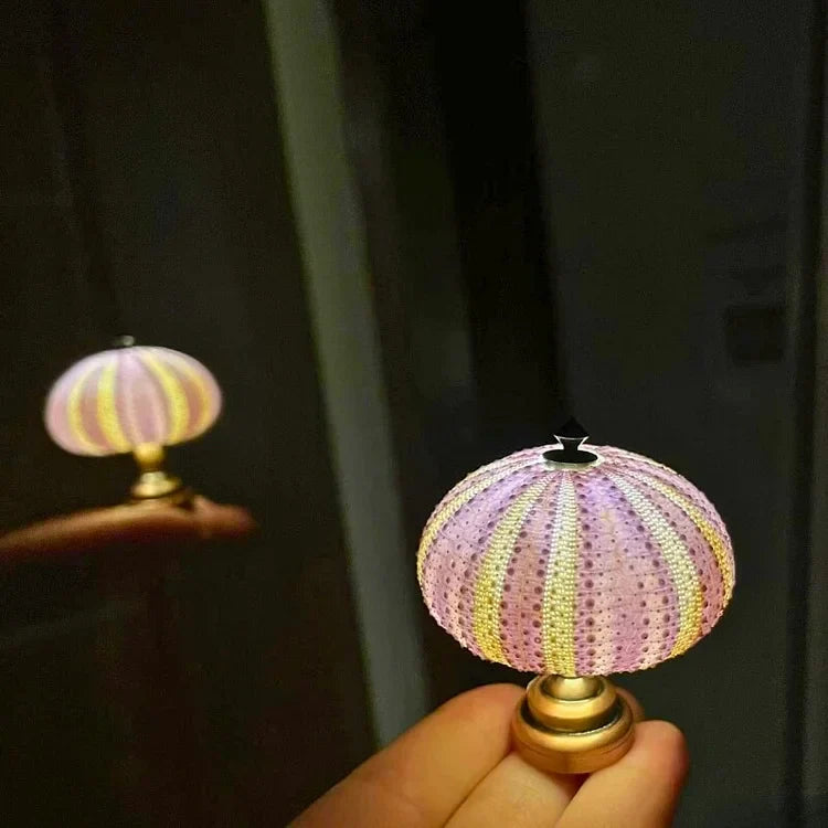 DIY Zee-egel Nachtlampje – Creatieve en Unieke Verlichting