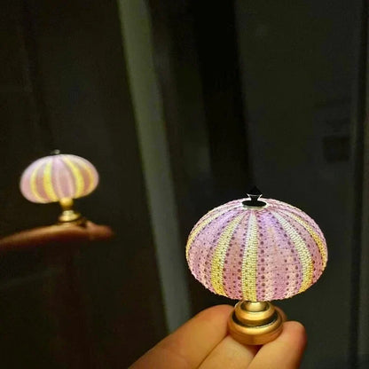 DIY Zee-egel Nachtlampje – Creatieve en Unieke Verlichting