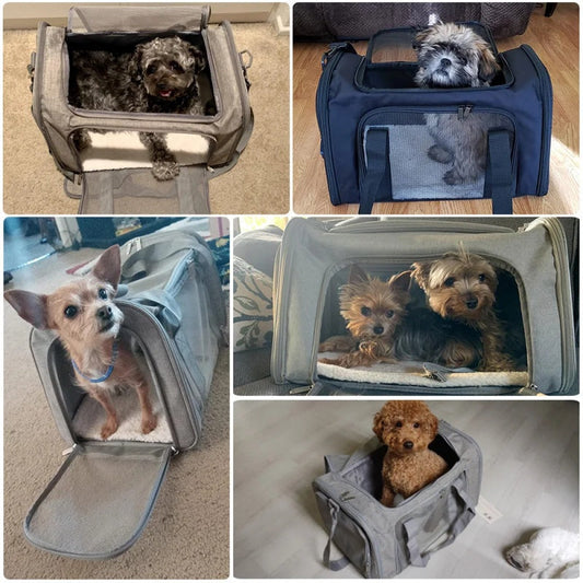 Draagtas voor Kleine Huisdieren - CarryPETS