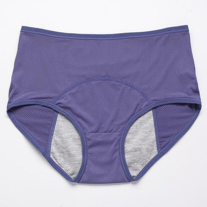 Droog Blijvend Dames Ondergoed 4-Pack