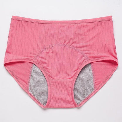 Droog Blijvend Dames Ondergoed 4-Pack
