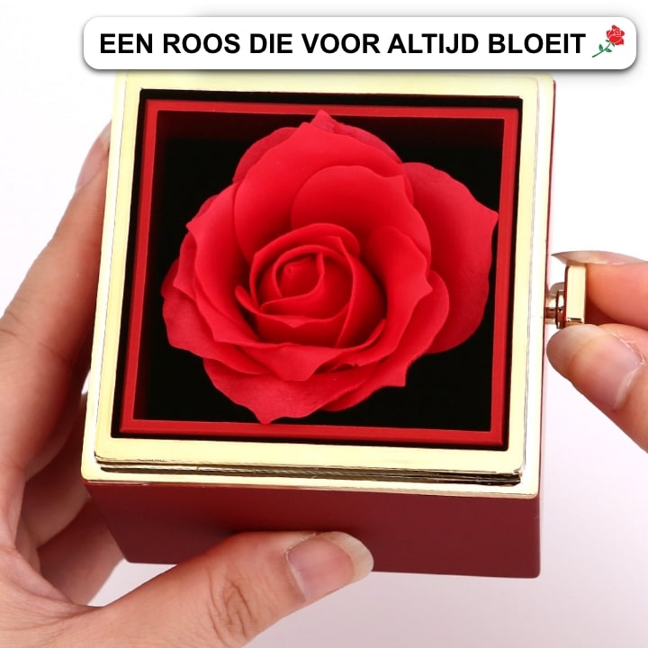Eternal Roos Cadeauset met Hartketting