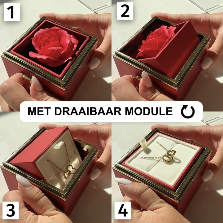 Eternal Roos Cadeauset met Hartketting