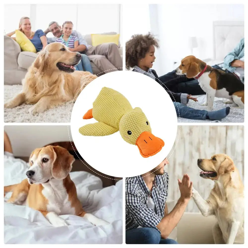 HappyPet – Duurzaam en Veilig Hondenspeeltje