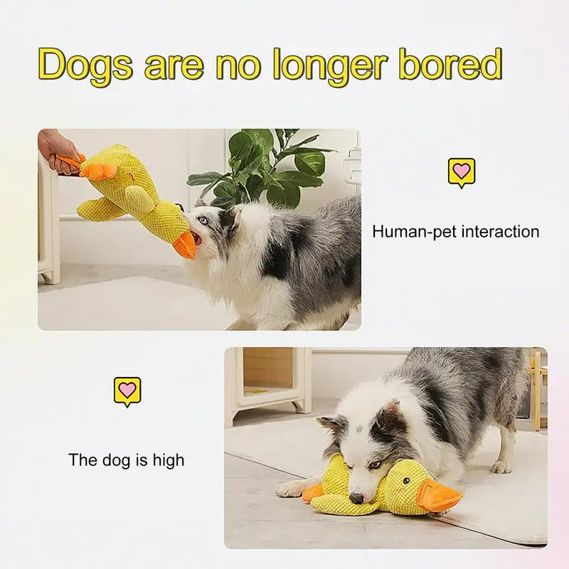 HappyPet – Duurzaam en Veilig Hondenspeeltje
