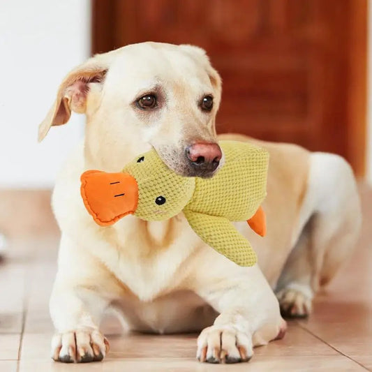 HappyPet – Duurzaam en Veilig Hondenspeeltje