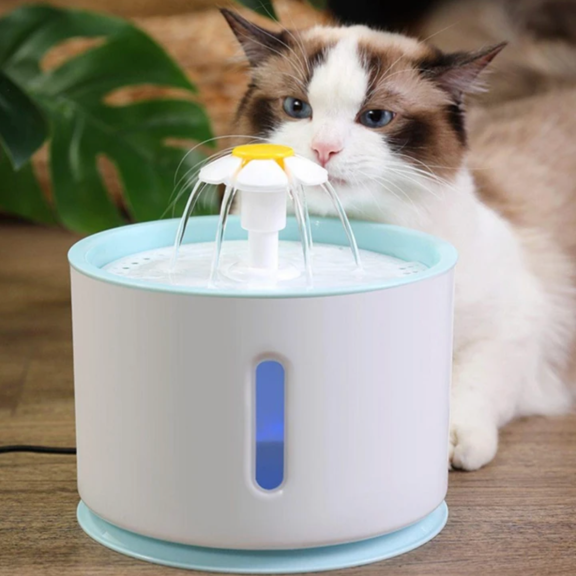 KatFlow Drinkfontein voor Katten met LED-verlichting