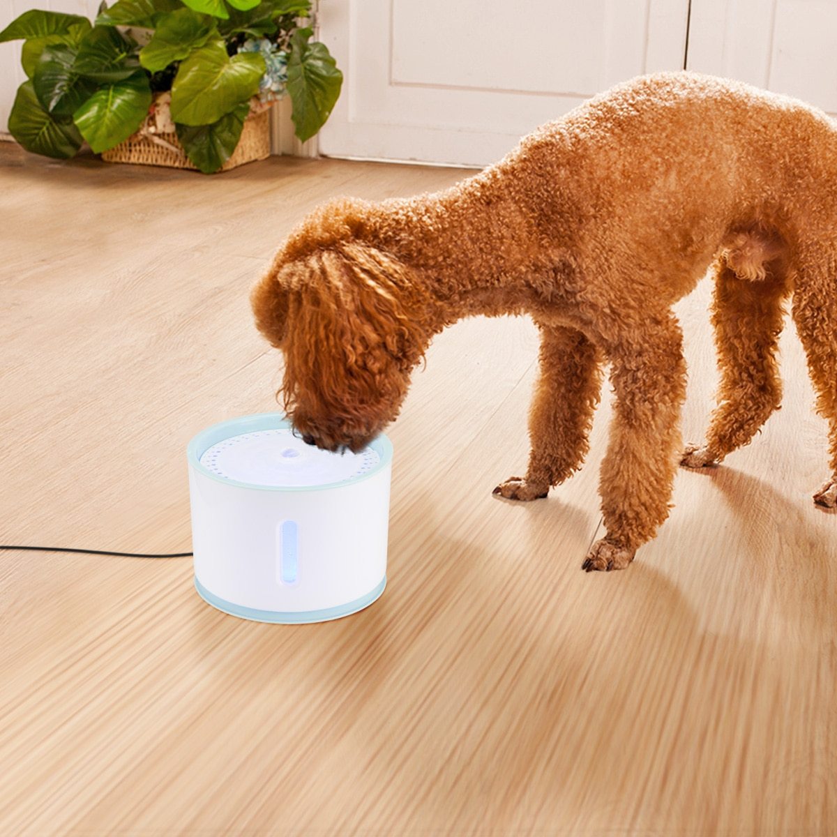 KatFlow Drinkfontein voor Katten met LED-verlichting