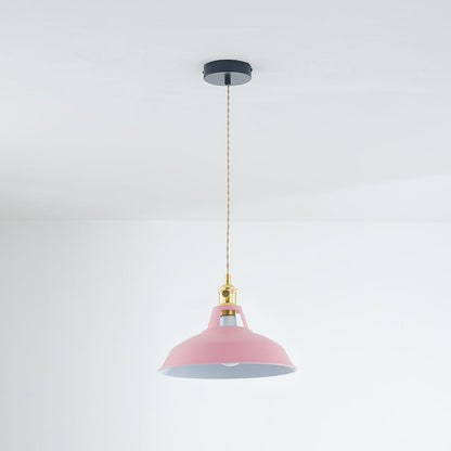 Spectrum - Metaal Hanglamp met Vibrant Design voor Moderne Stijl