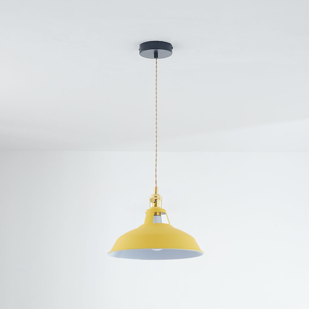 Spectrum - Metaal Hanglamp met Vibrant Design voor Moderne Stijl