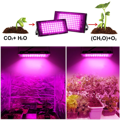 LumoGrow Volledig Spectrum LED Kweeklamp