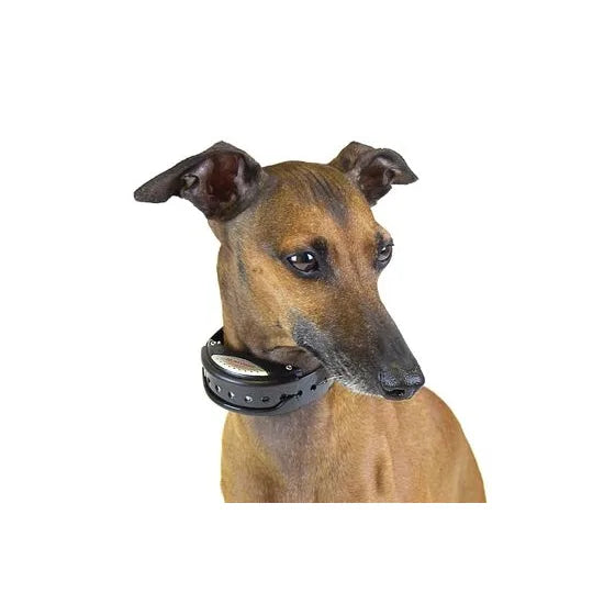 Num'Axes Canicalm Sonic Anti-Blafband Honden