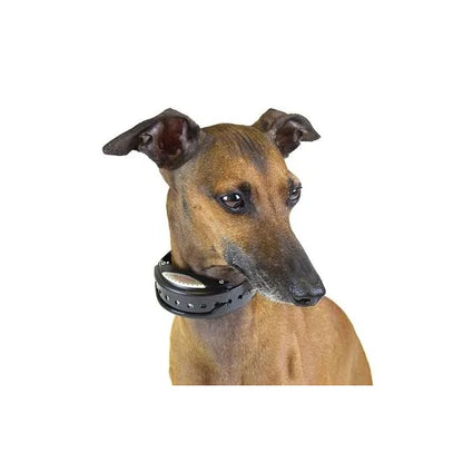 Num'Axes Canicalm Sonic Anti-Blafband Honden