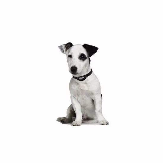 Num'Axes Canicalm Sonic Anti-Blafband Honden