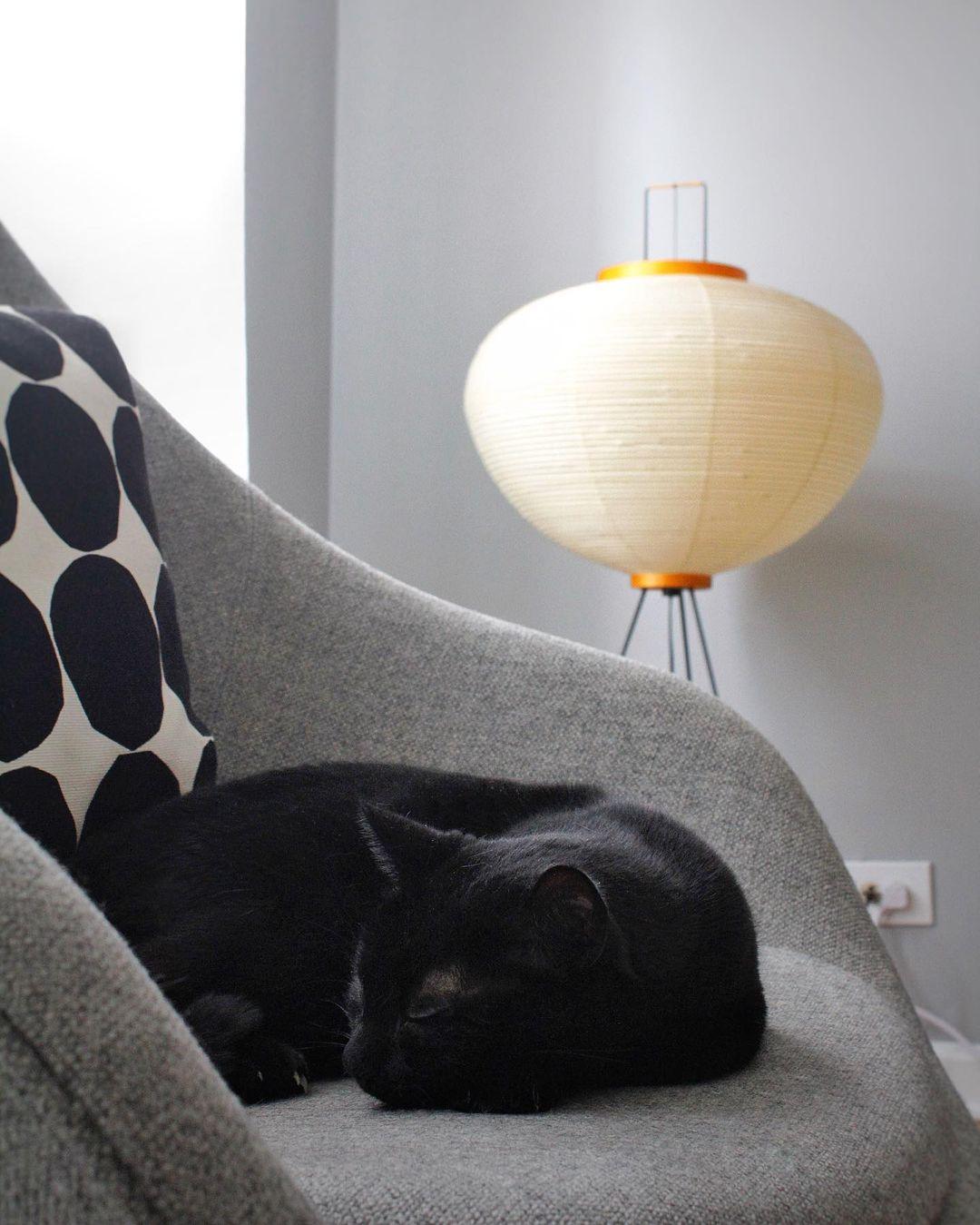 Rijstpapieren Vloerlamp met Tripod Frame