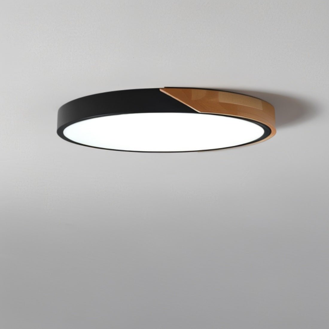 DelphiLux™ – Moderne Plafondlamp met Stijlvol Design