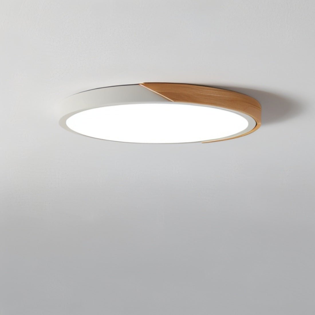 DelphiLux™ – Moderne Plafondlamp met Stijlvol Design